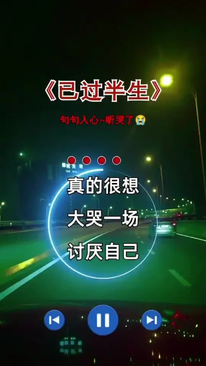 已过半生#歌词句句入心#听哭了#用音乐诉说情感