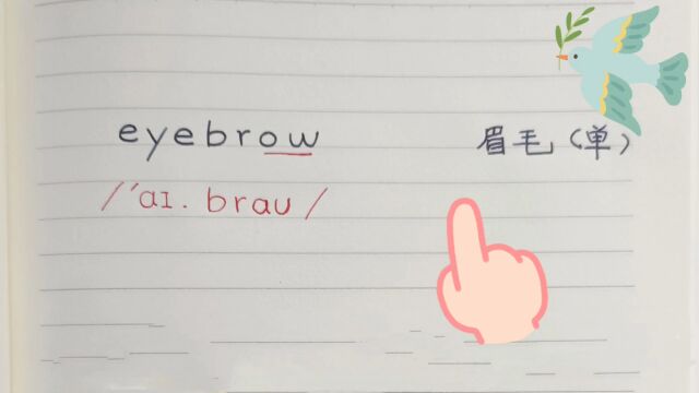 学单词eyebrow,eyebrows眉毛