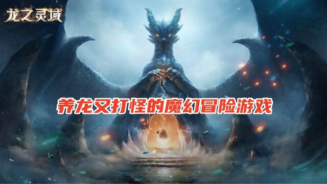 养龙又打怪的魔幻冒险,这款游戏视觉太震撼了