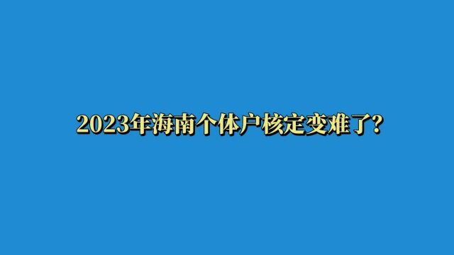 2023年海南个体户核定变难了?