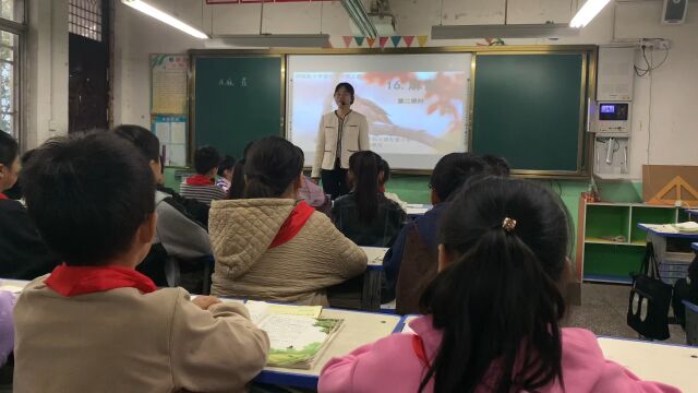 临汝镇东营小学刘慧苗部编版小学语文四年级上册《麻雀》