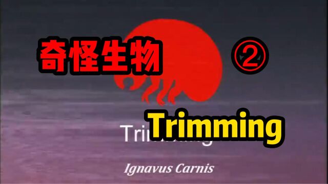 奇怪档案系列之trimming