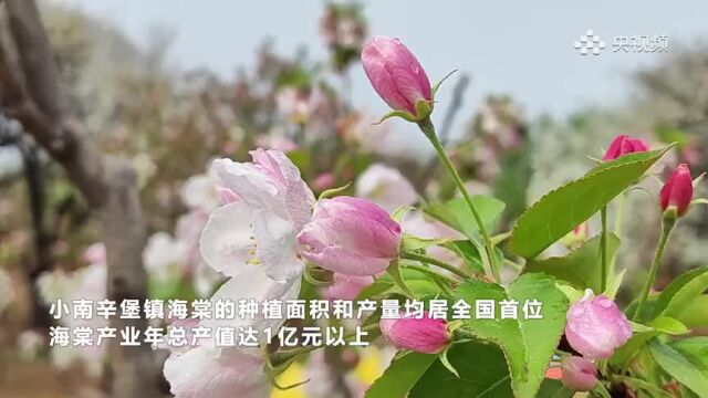 你早,河北|河北高中不得录取哪类学生;“冀X”牌照明天可以办了;海军宣传暗藏三大“彩蛋”;今年或迎史上最热夏天