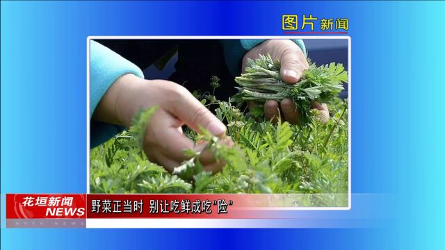 5月5日《花垣新闻》| 花垣迎大范围强降雨过程