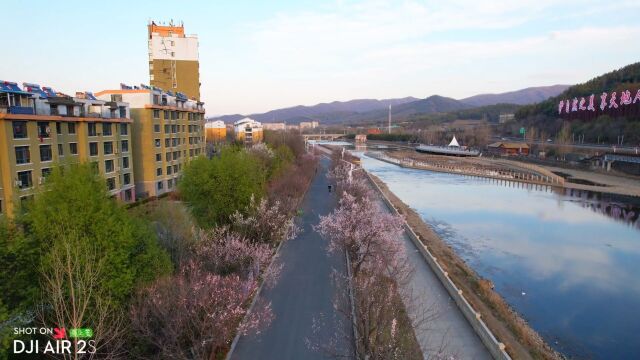 通化县河提路美景