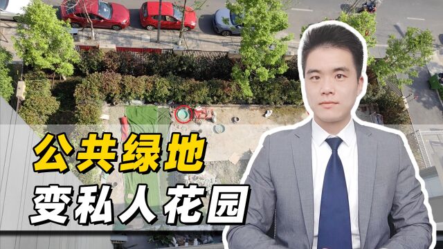 12户一楼业主占用千平公共绿地被投诉,其实他们也是受害者?