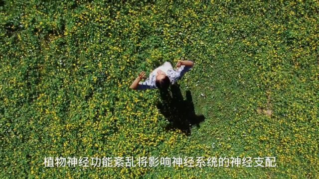 植物神经功能紊乱