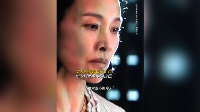 《坚如磐石》官夫人这气场也只有陈冲或邬君梅才能驾驭得了吧