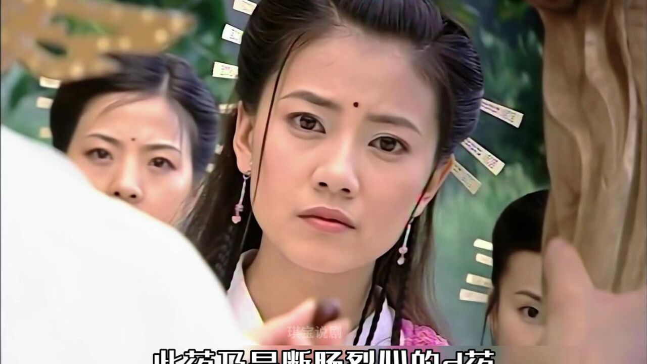 周芷若被金花婆婆要挟,峨眉派弟子终于承认她是掌门人