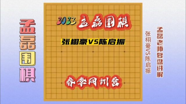 职业棋手围棋课堂~张栩豪VS陈启振~孟磊老师复盘讲解