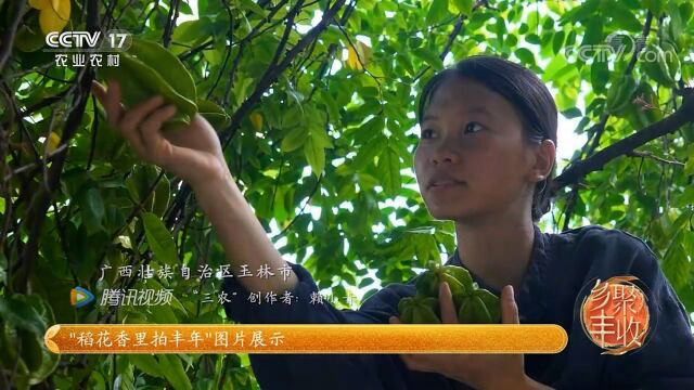 我们上CCTV央视的完整版来了,片头有多张妈妈和葡萄干活的照片,你发现了吗