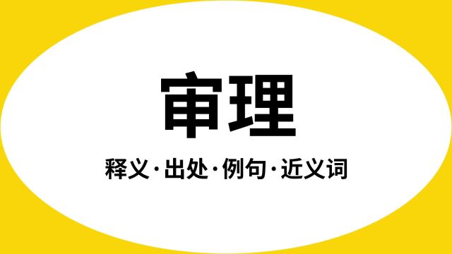 “审理”是什么意思?