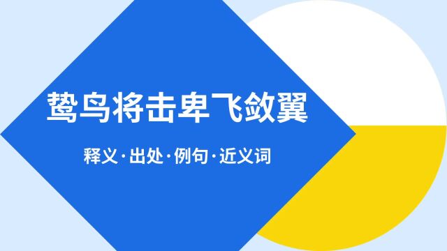 “鸷鸟将击卑飞敛翼”是什么意思?