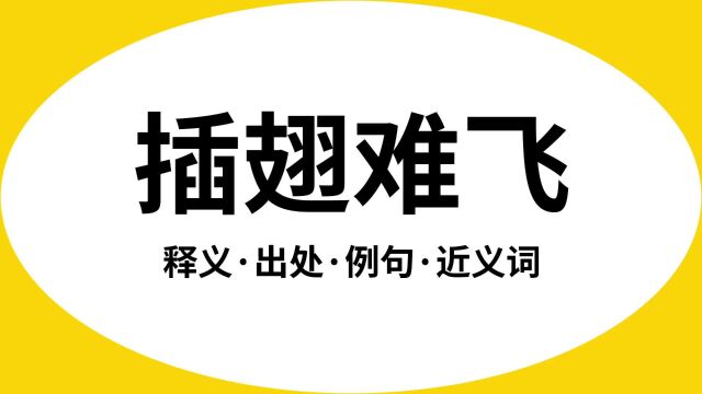 “插翅难飞”是什么意思?