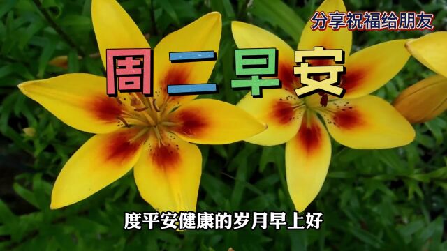 5月9日周二早安祝福视频,愿爱我的人和我爱的人平安顺遂,幸福安康