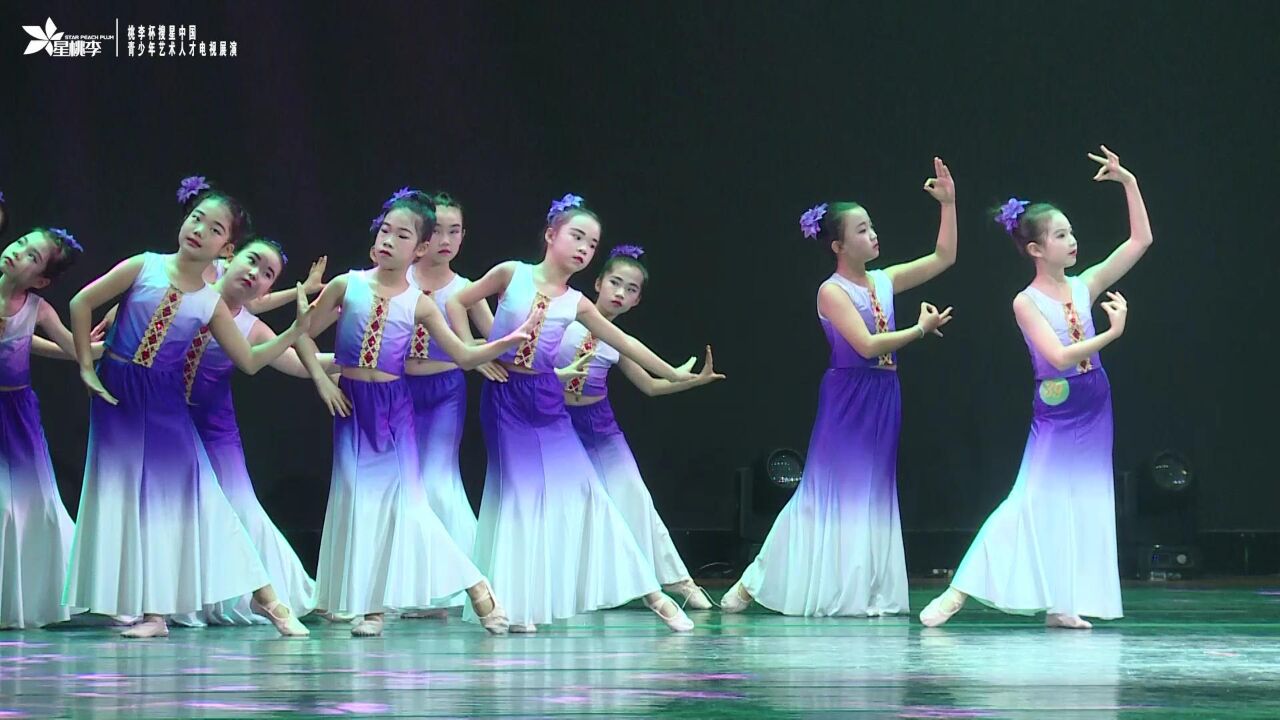 39《傣家小妹》#少儿舞蹈完整版 #桃李杯搜星中国广东省选拔赛舞蹈