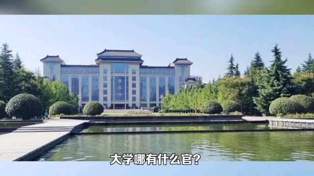 现在大学哪有什么官?