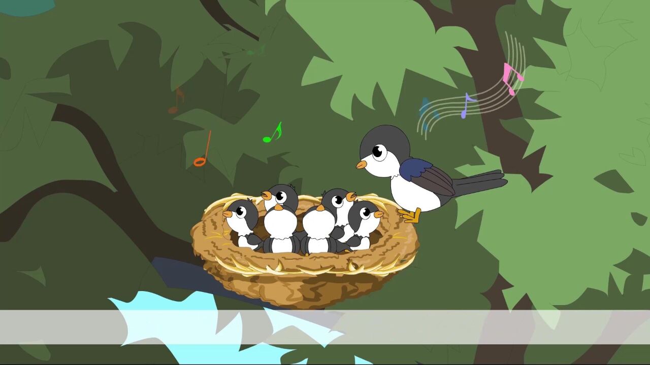 课文《枫树上的喜鹊》:随处可见的喜鹊,它们身上又有哪些流传下来的