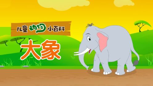 儿童动物小百科大象鼻子长长聪明又温顺的人类好朋友_高清