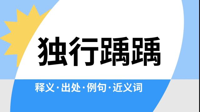 “独行踽踽”是什么意思?