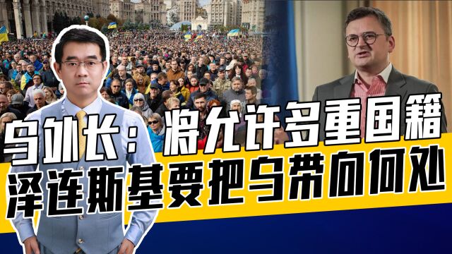 乌防长有美乌双国籍,给美国人当乌总统做铺垫?若实施将国之不国