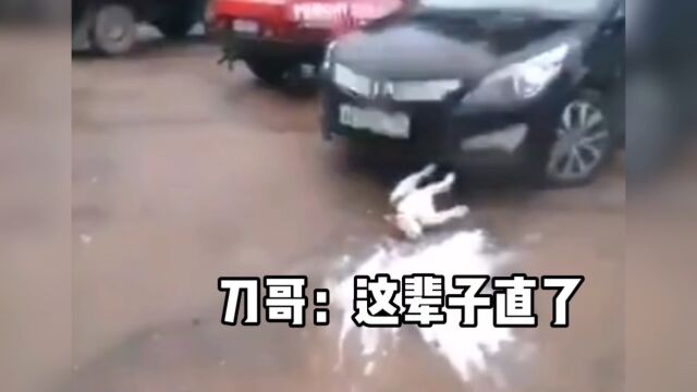 刀哥:这辈子直啦