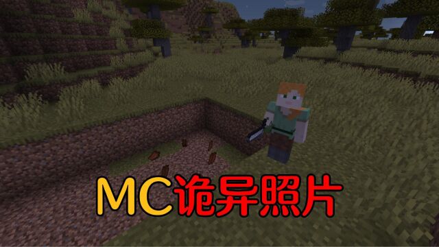 【MC】盘点MC超诡异的三张网图,你能发现异常吗?