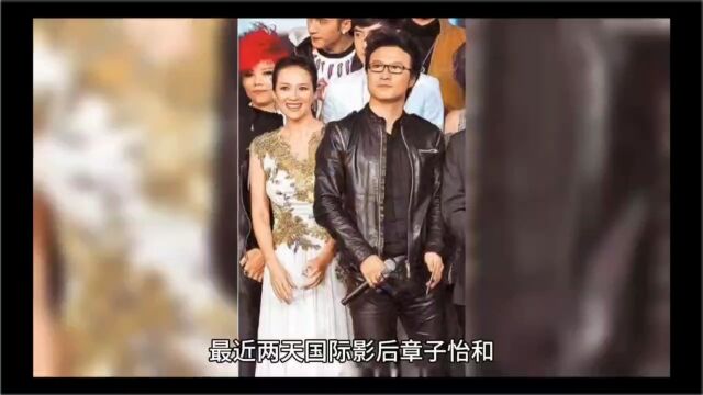 章子怡汪峰婚变早有迹象,离婚内幕令人嗔目结舌