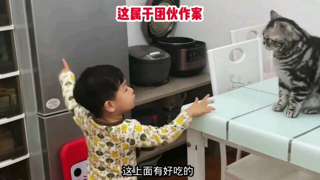 小孩:你把上面的零食拿下来,我分你一半