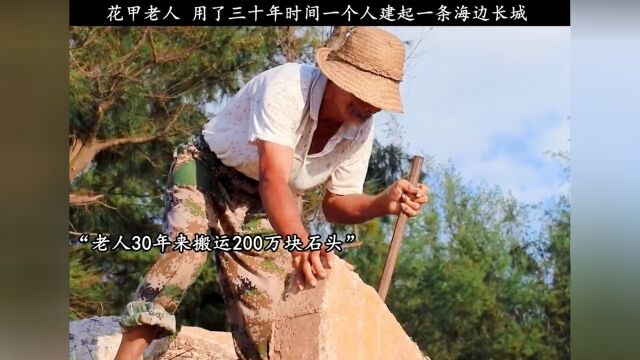 海岛六旬老人陈光权 愚公造港 徒手搬运200多万块石头,累死几十头牛!