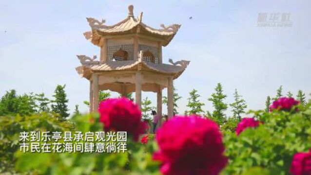 四季旅行|河北乐亭:滦河水清花开满城