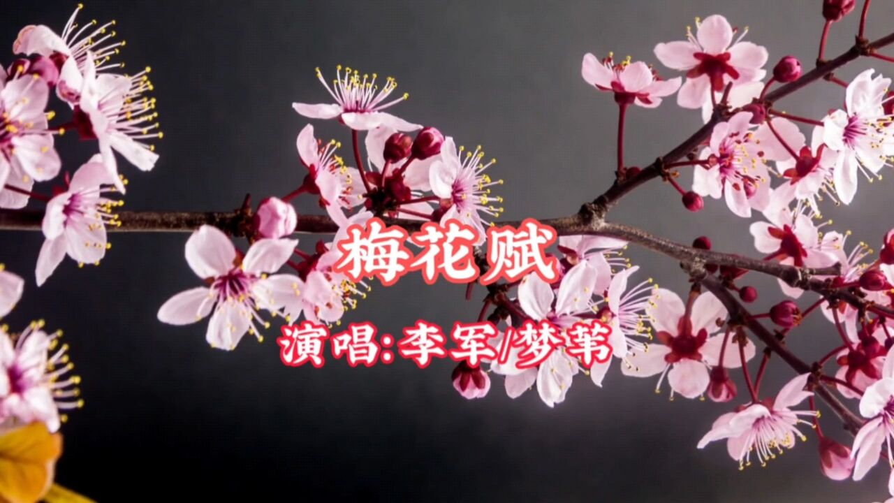 李军/梦苇 演唱的歌曲《梅花赋》,请欣赏