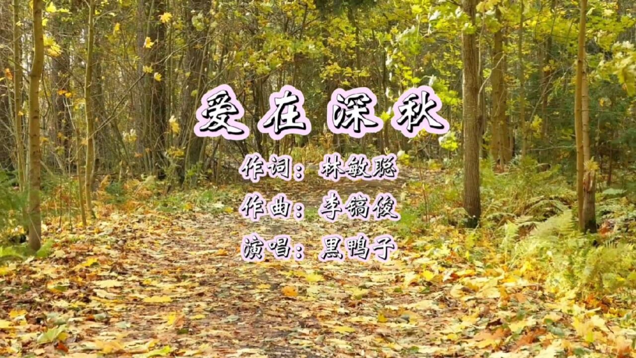 爱在深秋 作词:林敏聪 作曲:李镐俊 演唱:黑鸭子