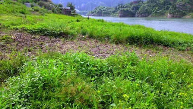 人生在于努力,不怕风雨.勇往直前,跌倒要勇敢站起来,不为别的,只为我爱的人.