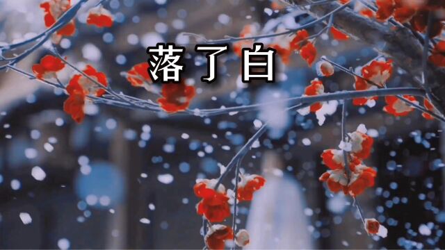 「落了白」蒋雪儿,唯美古风下雪空境