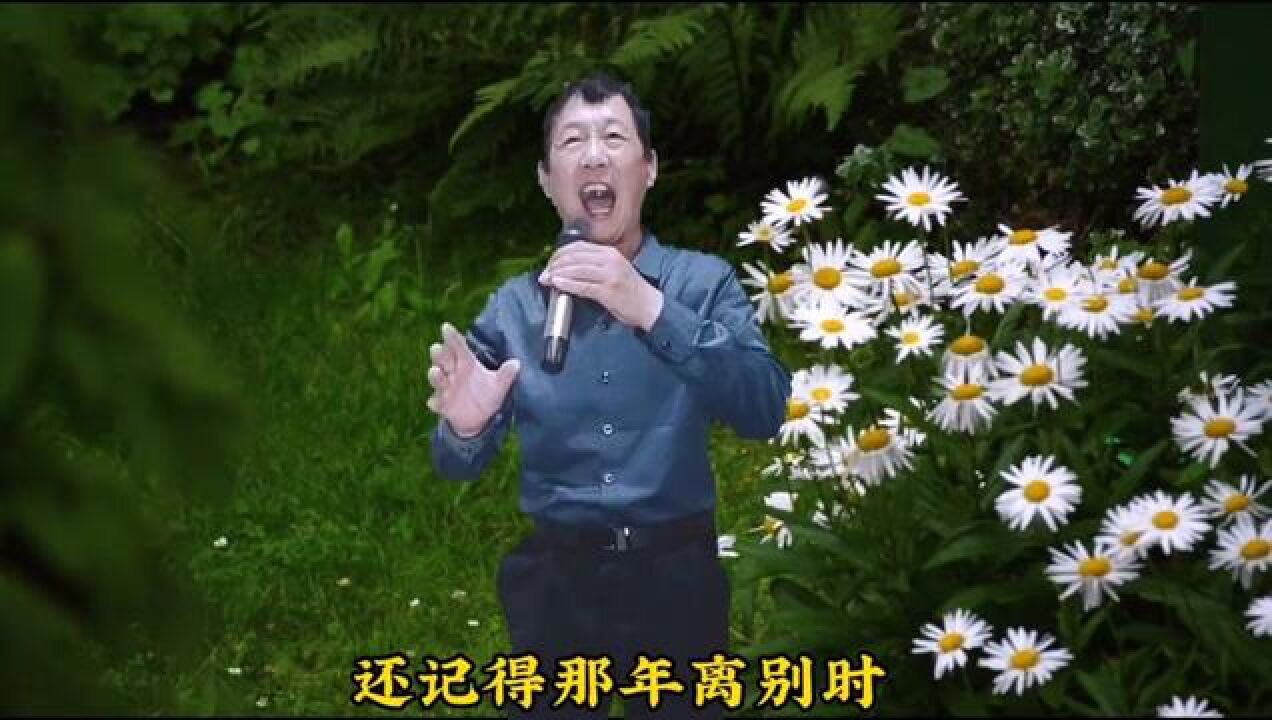 怀旧经典《风凄凄意绵绵》男声完整版,旋律凄美,深情感人,超级好听#真情演绎#百听不厌_高清1080P在线观看平台_腾讯视频