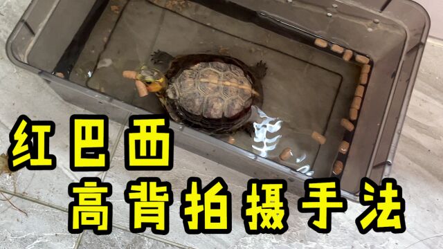 【Ygh】购买黄缘之前,一定要注意卖家的拍摄手法!