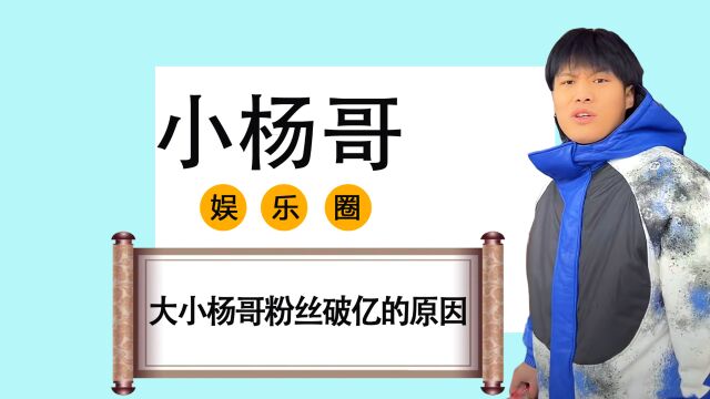 大小杨哥粉丝破亿,到底做对了什么?逆势上涨成电商头部