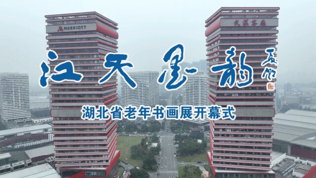 “江天墨韵”湖北省老年书画展开幕式实况视频