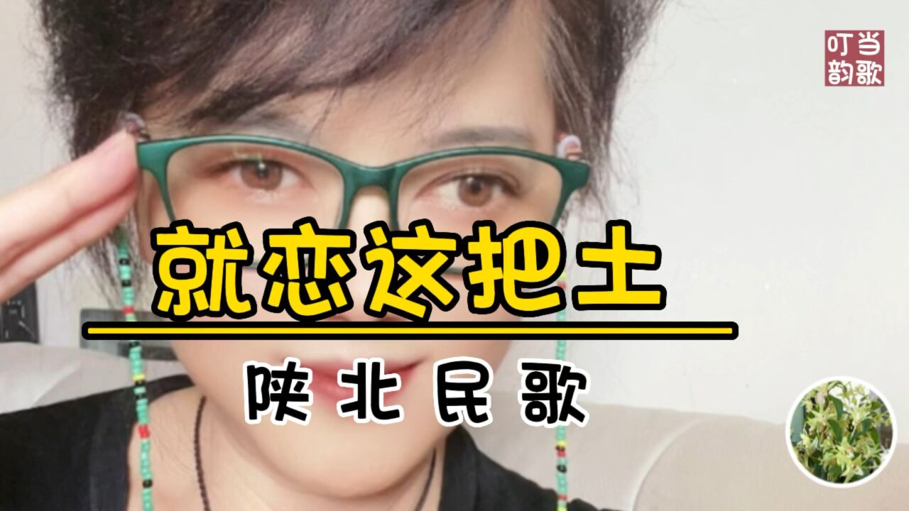 陕北民歌《就恋这把土》