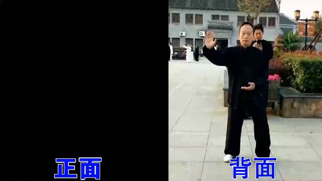 水绘园陈氏太极第六段,视频为学习时录制,背景音乐和口令是现找的,口令节奏和动作略有出入.