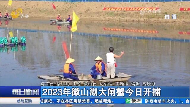 2023年微山湖大闸蟹开捕,渔家号子嘹亮,蟹农迎来金秋忙碌季