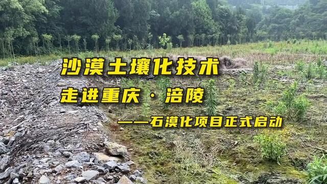 沙漠土壤化项目走进重庆涪陵!石漠化项目正式启动