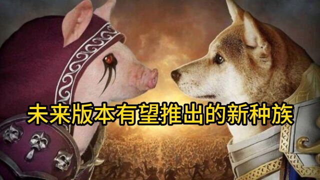 魔兽世界:有望推出的新种族