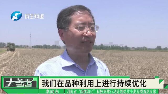 河南周口: “四优四化”科技支撑行动,持续优化品种,守好我们的粮仓