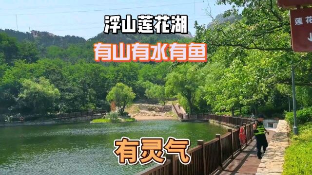 浮山莲花湖,不仅赏湖景,还可以打网球篮球,搞团建,地方太好了