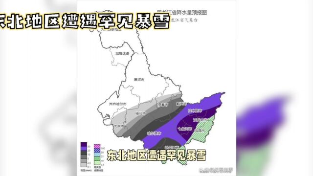 东北这次强降雪下到发紫