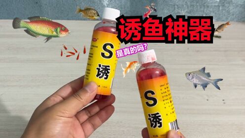 居然还有诱鱼神器,只需滴放在水面上就有鱼自己游过来,太离谱了_高清1080P在线观看平台_腾讯视频