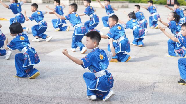 视频 | 怀化市郡永实验学校:特色课程展风采 艺术教学育新人