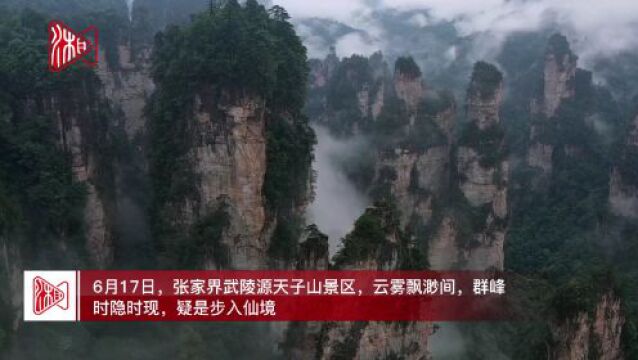 张家界天子山:“轻烟薄雾”笼峰林